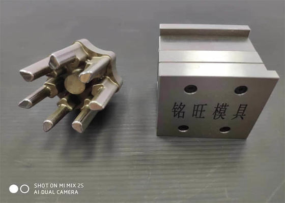 Формовочные вставки NAK80 S136 5 Asix Processing Mold Components